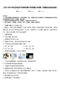 2023-2024学年山东省济宁市邹城市第八中学物理八年级第一学期期末达标测试试题含答案