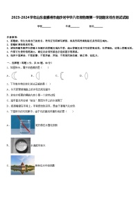 2023-2024学年山东省滕州市南沙河中学八年级物理第一学期期末综合测试试题含答案