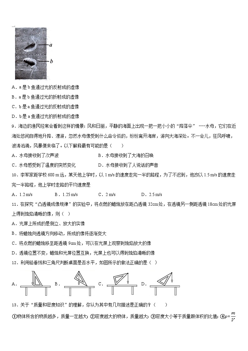 2023-2024学年山东省潍坊联考八年级物理第一学期期末联考模拟试题含答案第3页