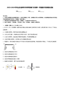 2023-2024学年山东省潍坊市寒亭物理八年级第一学期期末检测模拟试题含答案