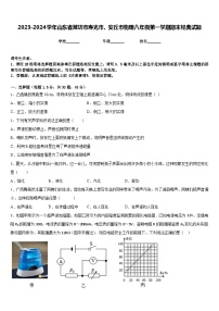 2023-2024学年山东省潍坊市寿光市、安丘市物理八年级第一学期期末经典试题含答案