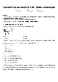 2023-2024学年山东省潍坊市诸城市物理八年级第一学期期末学业质量监测模拟试题含答案