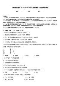 甘肃省金昌市2023-2024学年八上物理期末检测模拟试题含答案