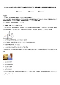 2023-2024学年山东省潍坊市寿光世纪学校八年级物理第一学期期末统考模拟试题含答案