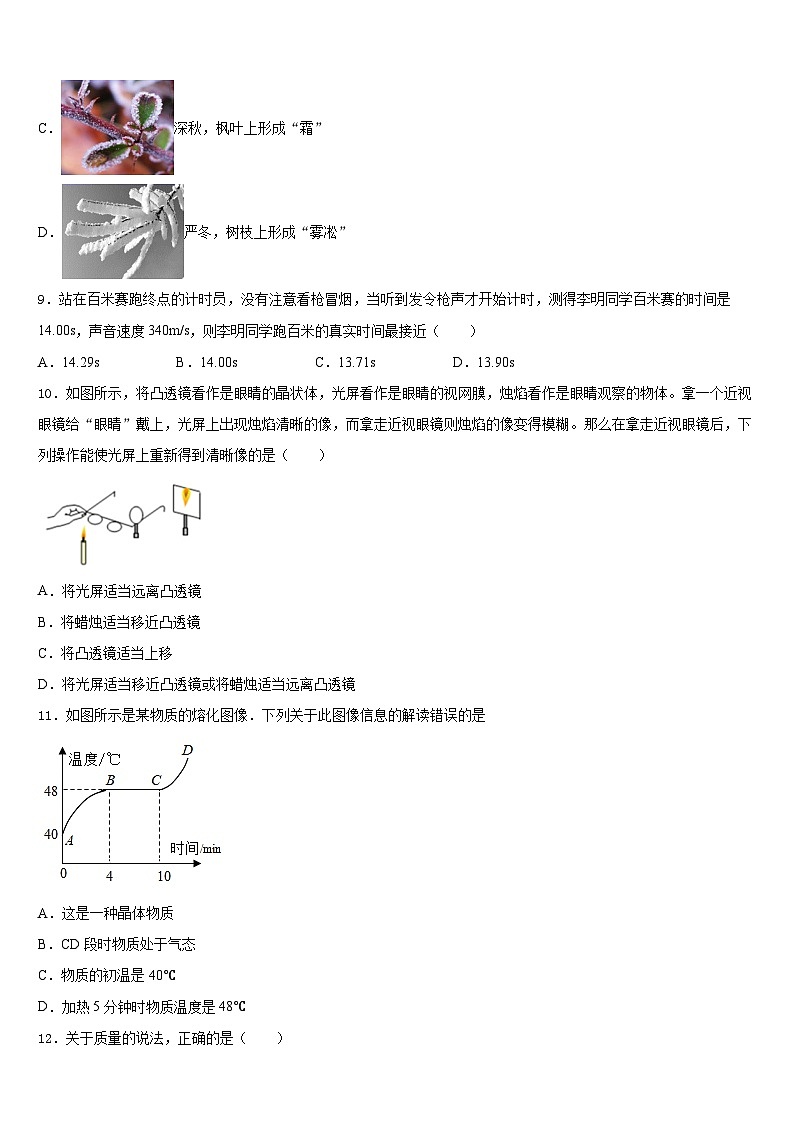 2023-2024学年山东省潍坊市寿光世纪学校八年级物理第一学期期末统考模拟试题含答案第3页