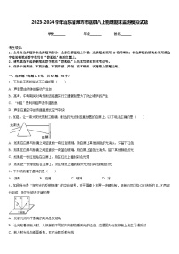 2023-2024学年山东省潍坊市辖县八上物理期末监测模拟试题含答案