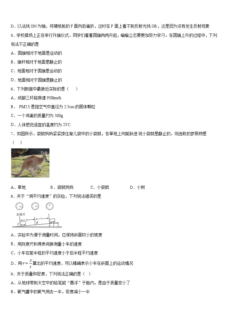 2023-2024学年山东省潍坊市辖县八上物理期末监测模拟试题含答案第2页