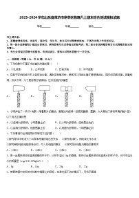 2023-2024学年山东省潍坊市寒亭区物理八上期末综合测试模拟试题含答案