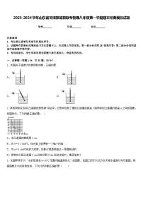 2023-2024学年山东省菏泽鄄城县联考物理八年级第一学期期末经典模拟试题含答案