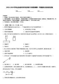 2023-2024学年山东省菏泽市成武县八年级物理第一学期期末达标测试试题含答案