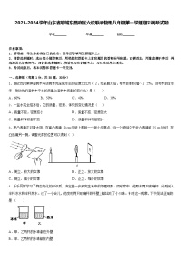 2023-2024学年山东省聊城东昌府区六校联考物理八年级第一学期期末调研试题含答案