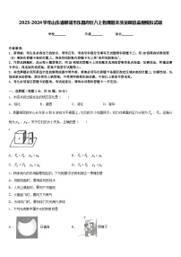 2023-2024学年山东省聊城市东昌府区八上物理期末质量跟踪监视模拟试题含答案