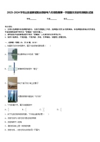 2023-2024学年山东省聊城阳谷县联考八年级物理第一学期期末质量检测模拟试题含答案