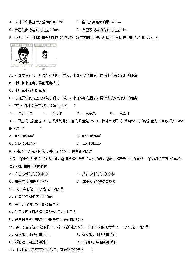 2023-2024学年山东省牡丹区王浩屯镇初级中学八上物理期末联考模拟试题含答案第2页