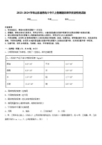 2023-2024学年山东省青岛5中八上物理期末教学质量检测试题含答案