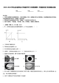 2023-2024学年山东省青岛大学附属中学八年级物理第一学期期末复习检测模拟试题含答案