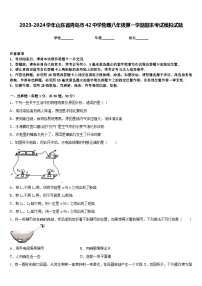 2023-2024学年山东省青岛市42中学物理八年级第一学期期末考试模拟试题含答案