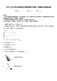 2023-2024学年山东省青岛市市南区物理八年级第一学期期末统考模拟试题含答案