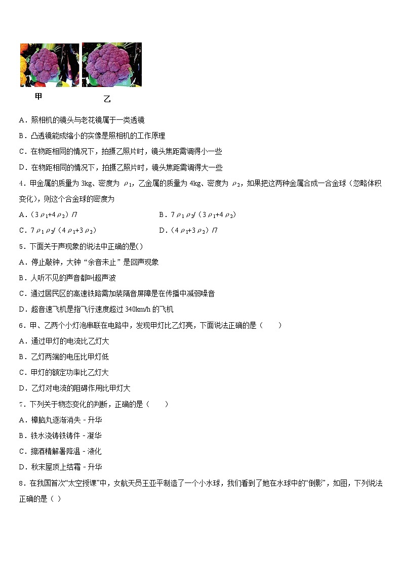2023-2024学年山东省郯城县物理八年级第一学期期末复习检测模拟试题含答案02