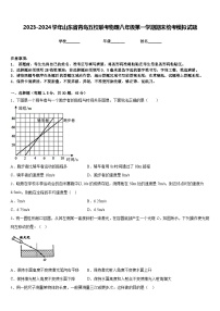 2023-2024学年山东省青岛五校联考物理八年级第一学期期末统考模拟试题含答案