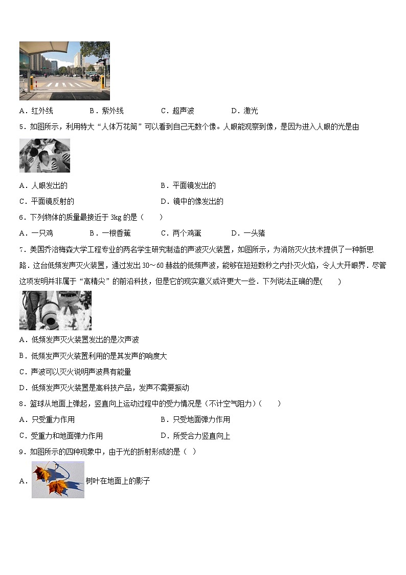 2023-2024学年山东省青岛市局属四校联考八上物理期末监测模拟试题含答案02