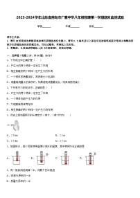 2023-2024学年山东省青岛市广雅中学八年级物理第一学期期末监测试题含答案