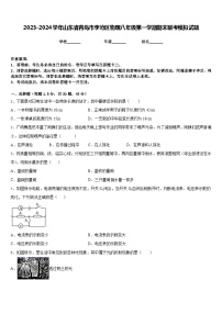 2023-2024学年山东省青岛市李沧区物理八年级第一学期期末联考模拟试题含答案