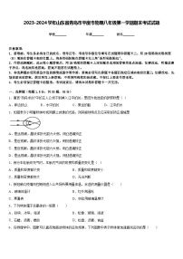 2023-2024学年山东省青岛市平度市物理八年级第一学期期末考试试题含答案