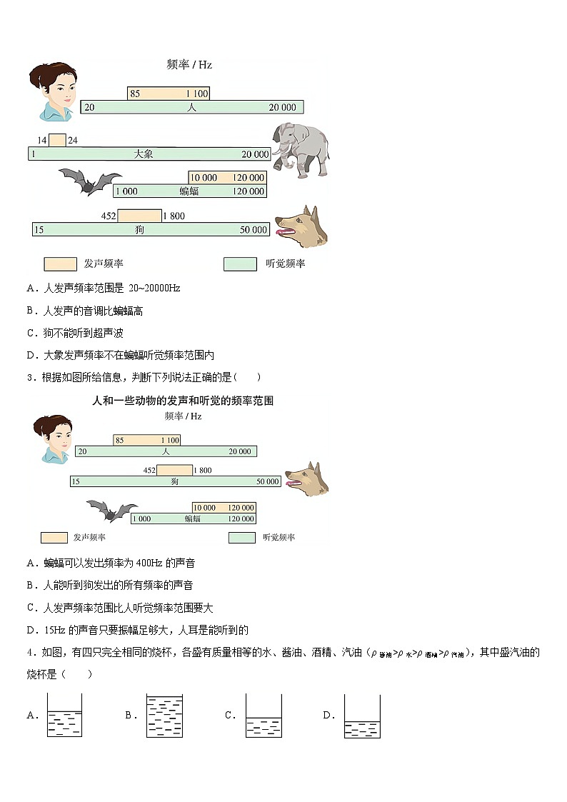 2023-2024学年山东省青岛市新海岸新区信阳中学物理八年级第一学期期末经典试题含答案02