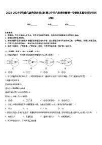 2023-2024学年山东省青岛市崂山区第三中学八年级物理第一学期期末教学质量检测试题含答案