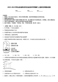 2023-2024学年山东省荣成市石岛实验中学物理八上期末统考模拟试题含答案