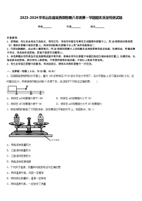 2023-2024学年山东省高青县物理八年级第一学期期末质量检测试题含答案