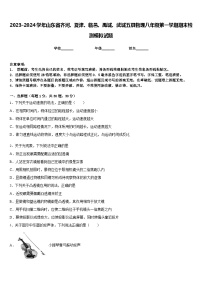 2023-2024学年山东省齐河、夏津、临邑、禹城、武城五县物理八年级第一学期期末检测模拟试题含答案