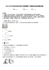 2023-2024学年山东省齐河县八年级物理第一学期期末达标检测模拟试题含答案