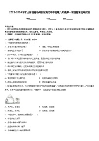 2023-2024学年山东省青岛开发区育才中学物理八年级第一学期期末统考试题含答案