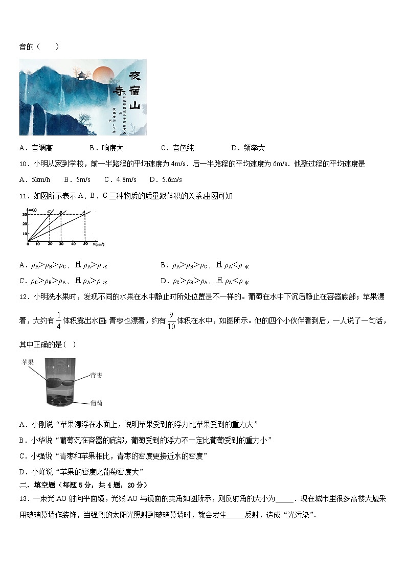 2023-2024学年山东省青岛市第二十一中学物理八年级第一学期期末联考试题含答案第3页