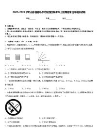 2023-2024学年山东省青岛李沧区四校联考八上物理期末统考模拟试题含答案