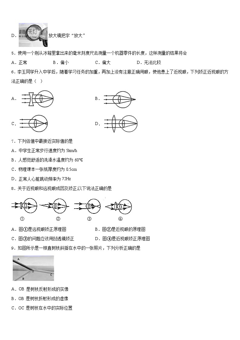 2023-2024学年山东省青岛市第九中学物理八年级第一学期期末调研模拟试题含答案02
