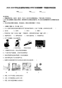 2023-2024学年山东省青岛市黄岛六中学八年级物理第一学期期末预测试题含答案