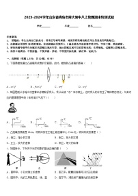 2023-2024学年山东省青岛市青大附中八上物理期末检测试题含答案