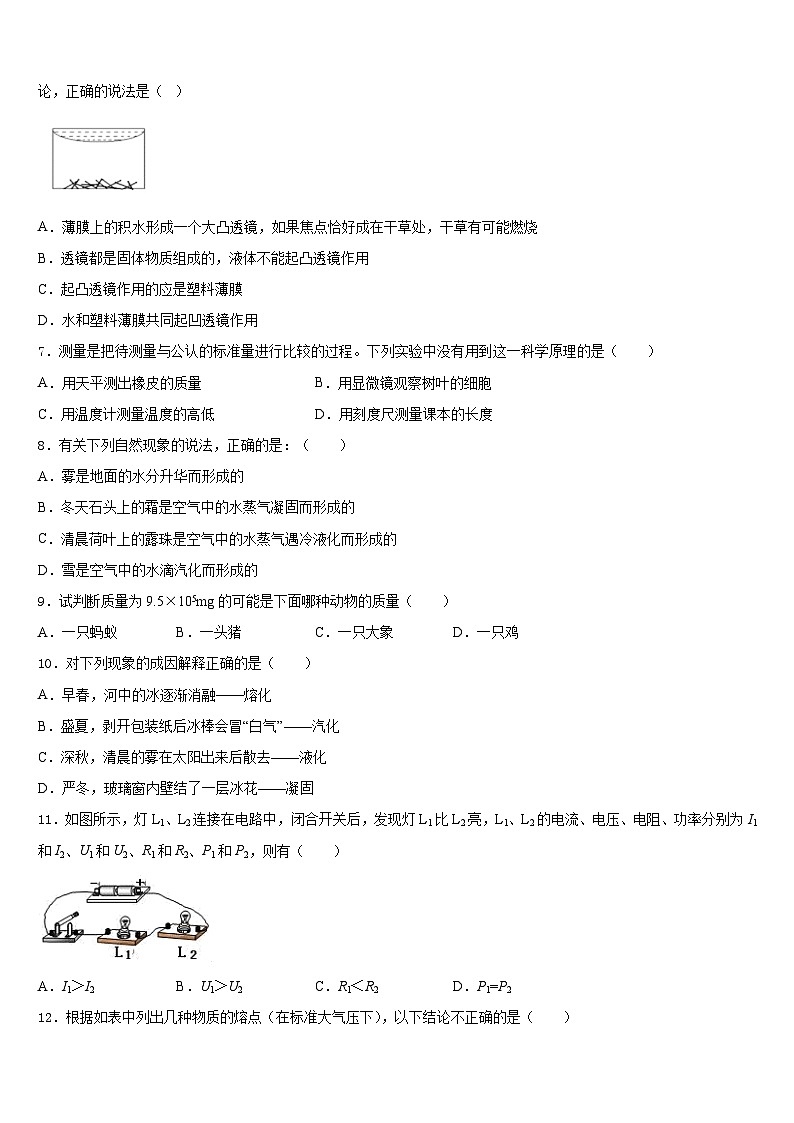 2023-2024学年山东省青岛市青岛大附属中学八上物理期末经典试题含答案第3页