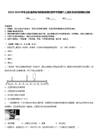 2023-2024学年山东省青岛市西海岸新区四中学物理八上期末质量检测模拟试题含答案