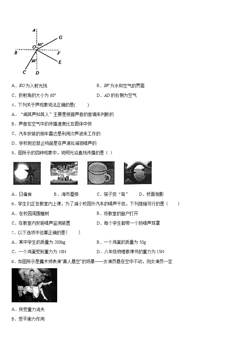 2023-2024学年山东省沂源县物理八年级第一学期期末学业水平测试试题含答案第2页