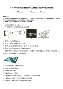 2023-2024学年山东省肥城市八上物理期末学业水平测试模拟试题含答案