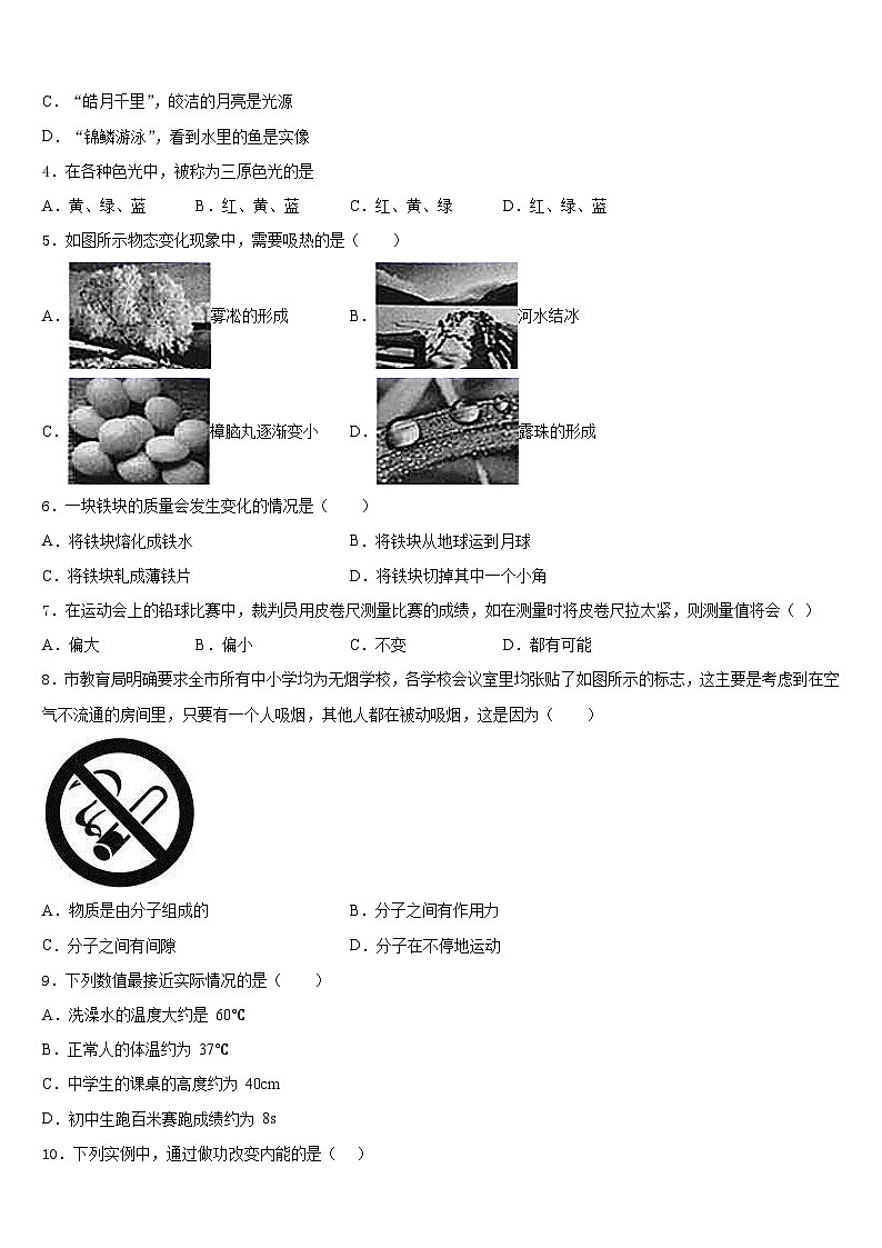2023-2024学年山东省肥城市八上物理期末学业水平测试模拟试题含答案02