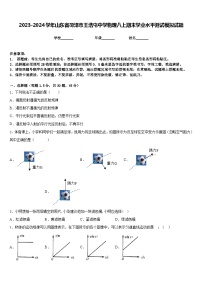 2023-2024学年山东省菏泽市王浩屯中学物理八上期末学业水平测试模拟试题含答案