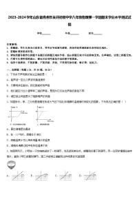 2023-2024学年山东省青州市吴井初级中学八年级物理第一学期期末学业水平测试试题含答案