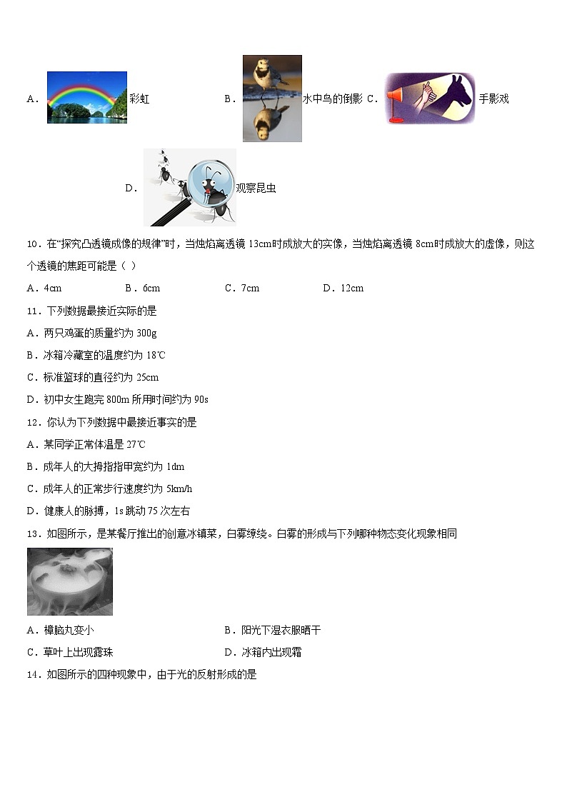 2023-2024学年山东省滨州惠民县联考物理八上期末学业水平测试试题含答案03