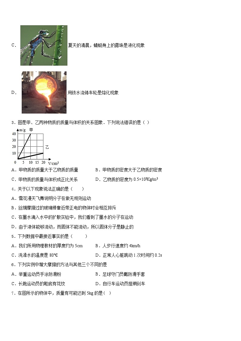 2023-2024学年山西省吕梁柳林县联考八年级物理第一学期期末教学质量检测试题含答案02