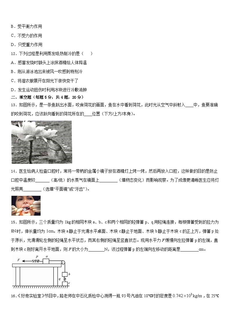 2023-2024学年山西省右玉县八年级物理第一学期期末达标检测试题含答案第3页